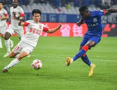 申花连续五场破门，维尼修斯主帅直言：这小子挡不住！的简单介绍